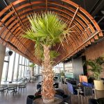 رستوران مرسی پدیده کیش